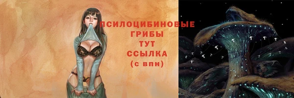 спиды Гусиноозёрск