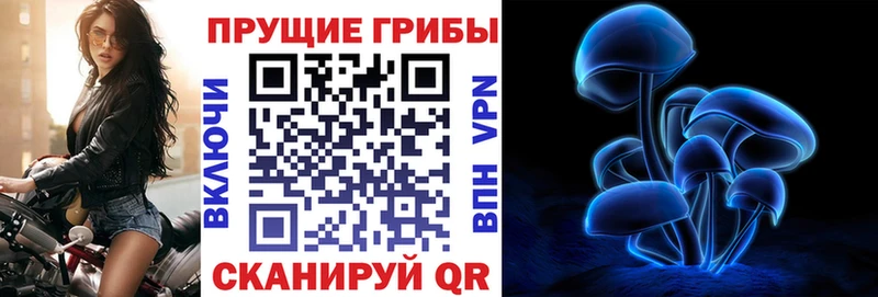 Галлюциногенные грибы MAGIC MUSHROOMS  Пионерский 